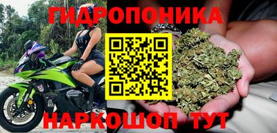 мдпв Ижевск