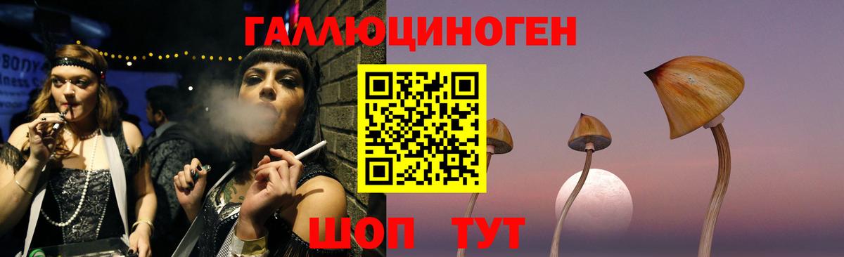 Галлюциногенные грибы мицелий  Вход с VPN  Сунжа 
