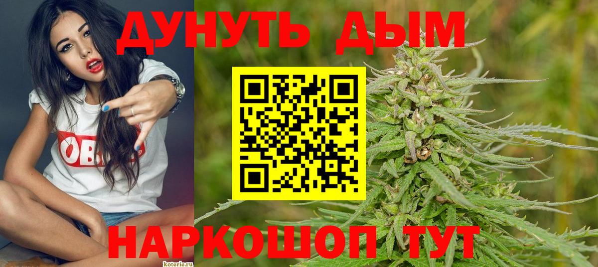 Конопля SATIVA & INDICA  Вход с VPN  Сунжа  Бошки Шишки марихуана 
